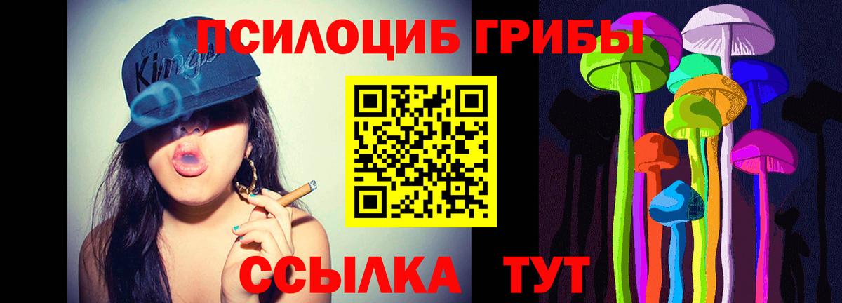 Рассказово  Псилоцибиновые грибы прущие грибы  Вход с VPN 